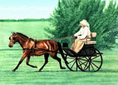 Carriage Driving, Equine Art - Smart Trot